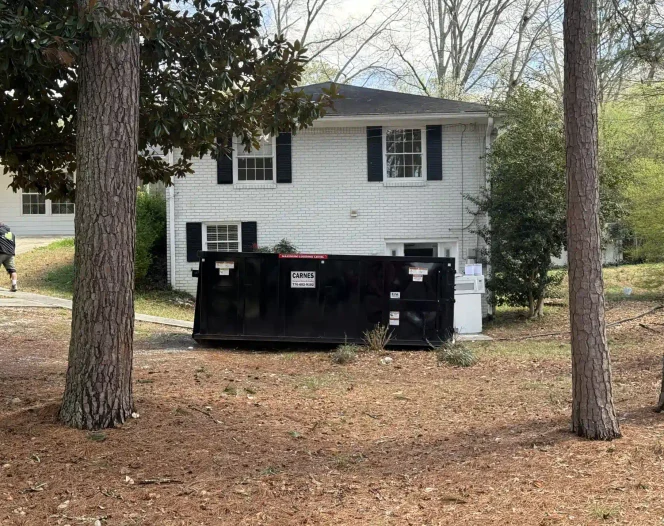 Residential & Commercial Dumpster 2